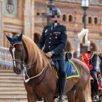 Pomo, "el caballo policía" lesionado en acto de servicio