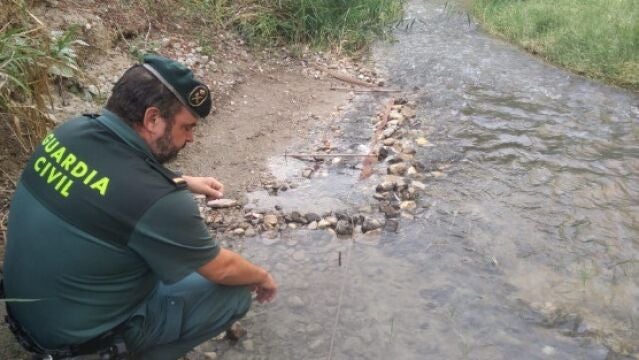 Un agente de la Guardia Civil en el río Genil, en la provincia de Granada
