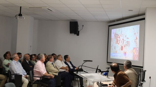 Presentación de los hallazgos