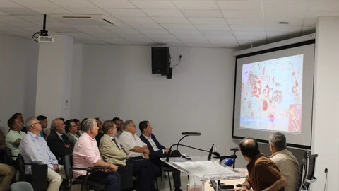 Presentación de los hallazgos
