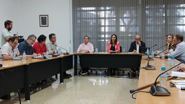 La consejera Sara Rubira en la reunión de la Mesa del Secano