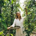 Banco Santander lanza Atgro, una plataforma para invertir e impulsar proyectos agrícolas