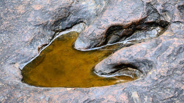 Enciso es conocido por tener uno de los yacimientos de huellas de dinosaurios más importantes de Europa, con incitas que se remontan millones de años atrás