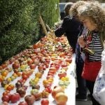 Feria del Tomate del pasado año en Piñel de Abajo (Valladolid)