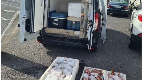 La furgoneta en la que se transportaba el pescado
