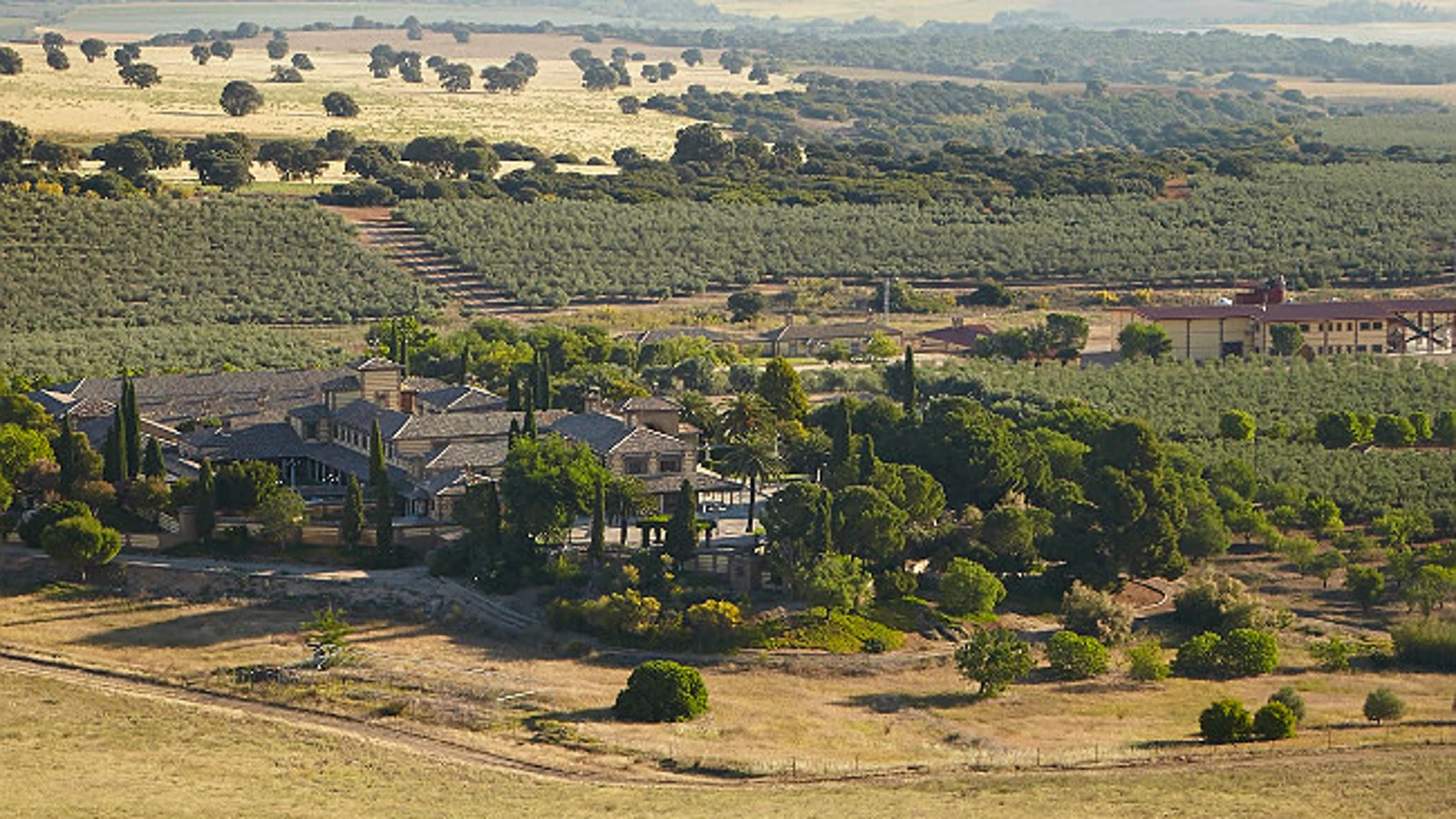 Vista aérea de la Finca Hualdo en El Carpio de Tajo (Toledo)