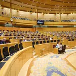 AMP.-El PSOE y sus socios exigen al PP que no permita celebrar en el Senado una cumbre internacional contra el aborto