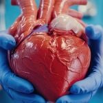 El 37,5% de los pacientes sufren cardiotoxicidad, de los cuales el 31,6% era de grado leve, el 2,8% moderado y el 3,1 % sufría complicaciones severas según el registro Cardiotox