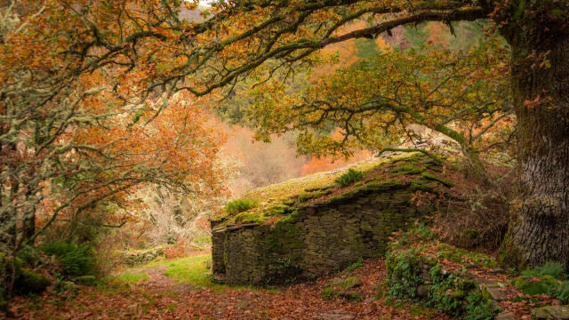 El destino rural que no te puedes perder en otoño en Asturias: Los Oscos