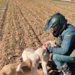 Agente de la Guardia Civil con dos perros