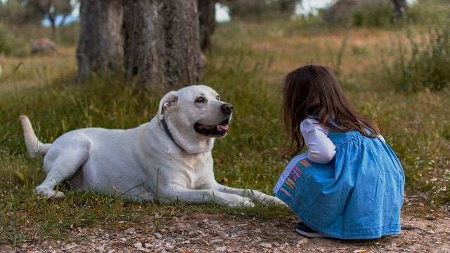 Niña con un perro