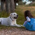 Niña con un perro