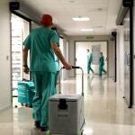 Un sanitario transporta un órgano en uno de los hospitales de la Comunidad