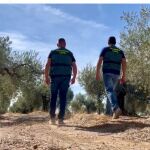 Dos agentes patrullan en un olivar