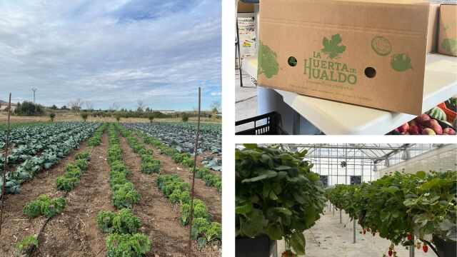 Varias imágenes de las instalaciones de 'La Huerta de Hualdo' de la Finca Hualdo (Toledo)