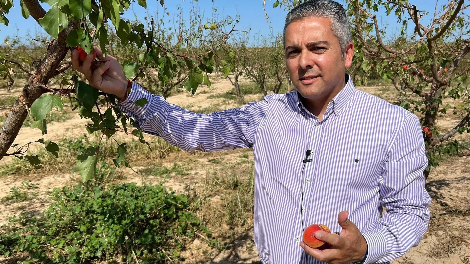 El secretario ejecutivo de Agricultura del Partido Popular de la Región de Murcia, Jesús Cano