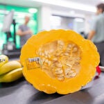 Mercadona comprará 200 toneladas de calabaza de asar cultivada en Valencia