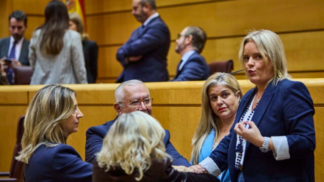 El pleno del Senado ha acordado este martes, a petición del PP, aplazar el debate del proyecto de ley sobre in