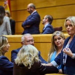 El pleno del Senado ha acordado este martes, a petición del PP, aplazar el debate del proyecto de ley sobre in