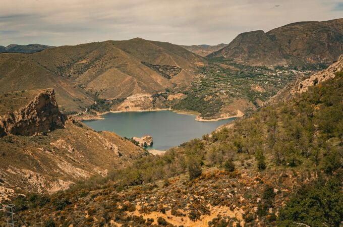 ¿Cómo será la futura Ley de Montes de Andalucía?