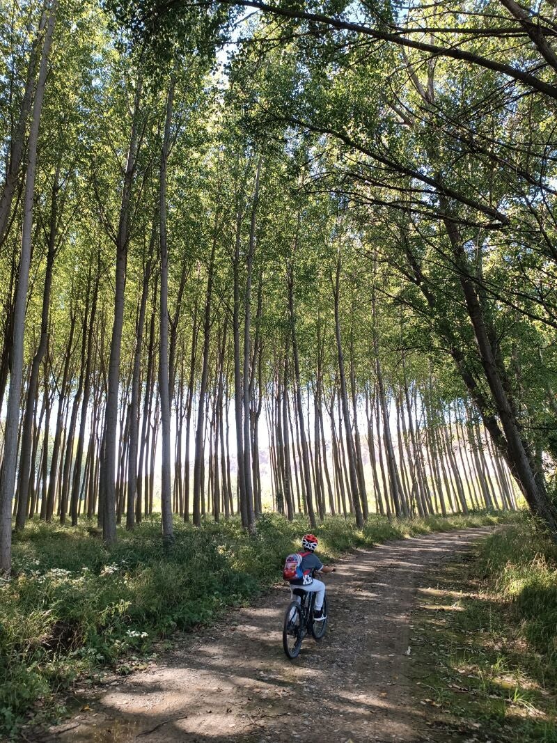 Paseos por la naturaleza en Navarra
