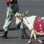 Este es el rango militar de la cabra de La Legión española y otras curiosidades