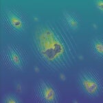 Dibujo del flujo del agua alrededor de los fragmentos de nieve marina según el análisis hecho por la Universidad de Stanford gracias al microscopio rotatorio.