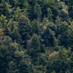 Una ayuda de 4,5 millones de euros permitirá que la planta de biogás de La Sentiu de Sió se convierta en la mayor del sur de Europa 