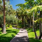 El verdor y frondosidad de este jardín interior invita a recorrerlo con tranquilidad