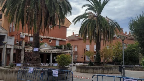 Ciempozuelos.- Una plaga de mariposas ataca a las palmeras de la Plaza Mayor