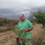 El emprendedor Jesús López Cacho comercializa ya este fruto seco de forma natural por la provincia de Soria