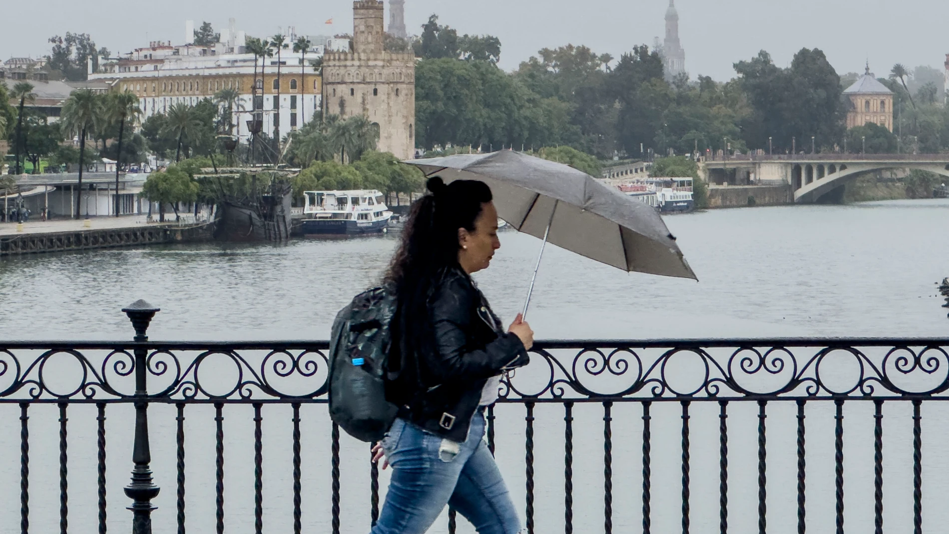 GRAF1507. SEVILLA, 12/10/2024.- Lluvia en Sevilla. La llegada de una borrasca atlántica a la península dejará un fin de semana con abundantes e intensas, especialmente en Andalucía, donde los acumulados, hasta 120 litros por metro cuadrado en 12 horas el sábado, podrían producir desbordamientos de cauces e inundaciones. EFE/David Arjona