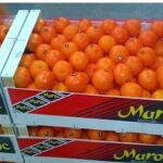 Cítricos marroquíes