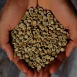 Café 100% certificado de agricultura regenerativa