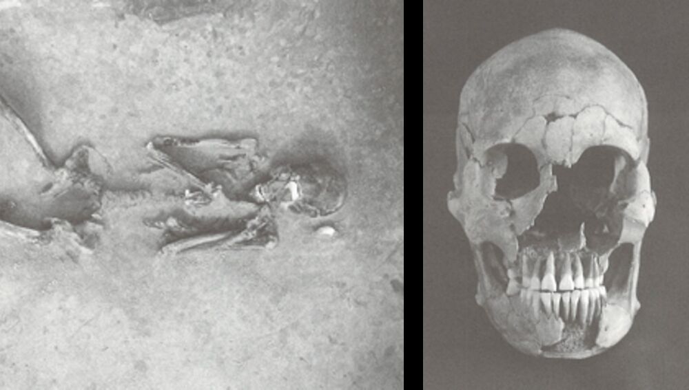 Al fin descubren el verdadero origen de los japoneses