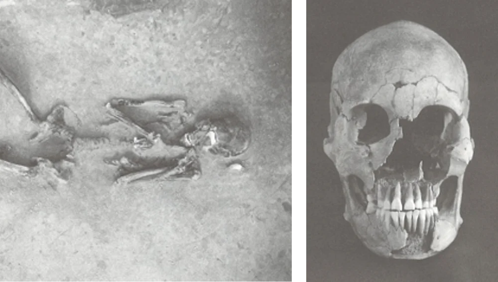 Al fin descubren el verdadero origen de los japoneses