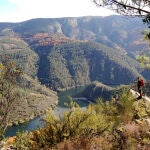 Cañón del río Sil, Camino de Santiago sostenible