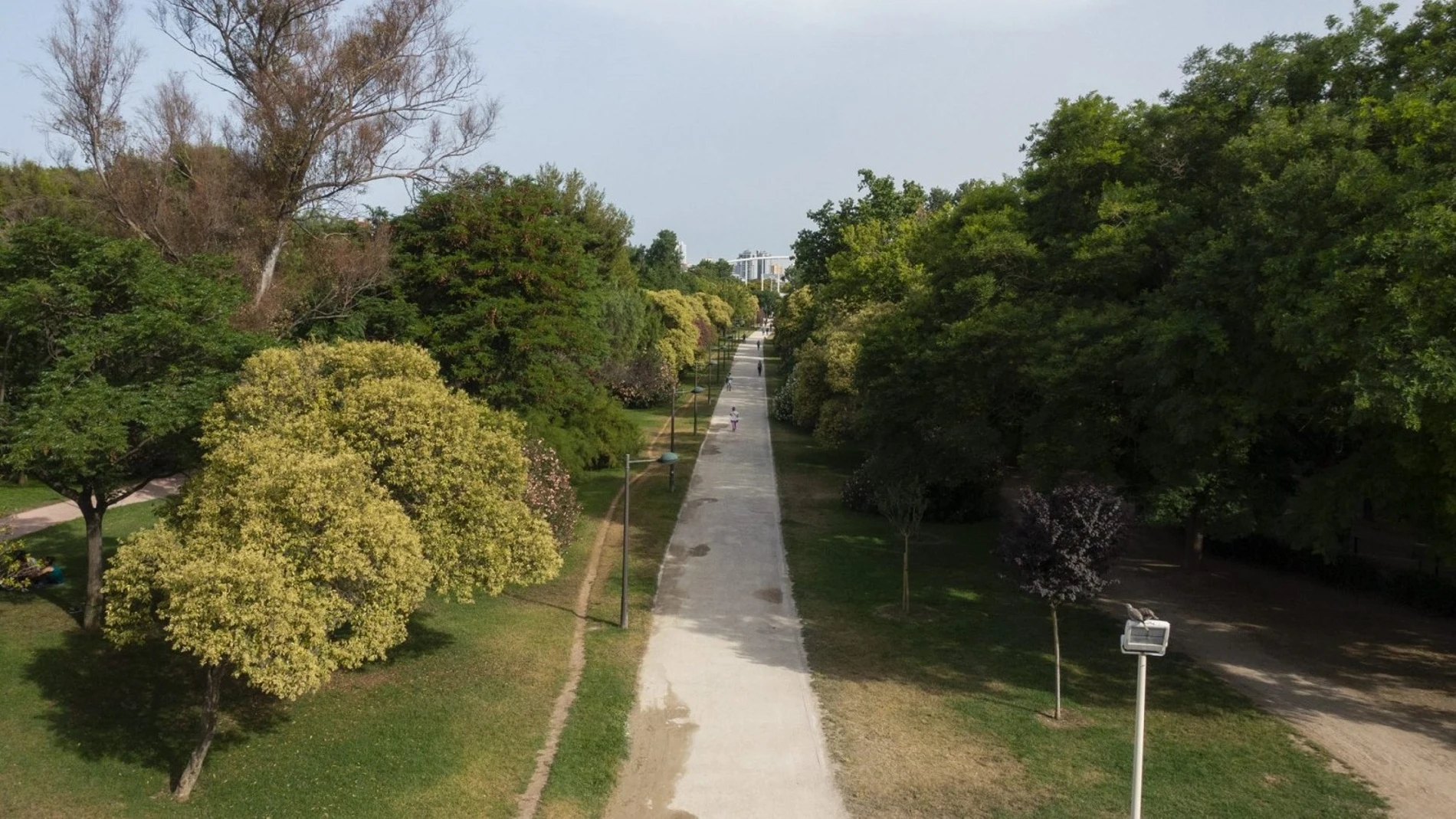 El Jardí del Turia cruza la ciudad de Valencia
