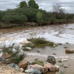 Río Guadiamar