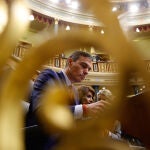 Pedro Sánchez en el pleno del Congreso de los Diputados 