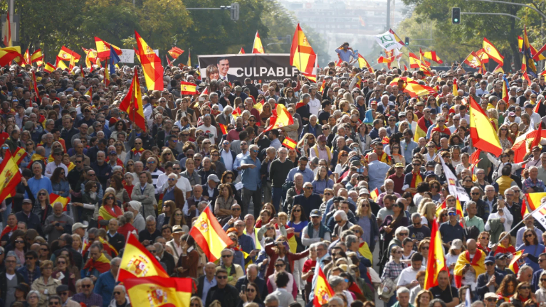 Manifestación en Madrid del 20-O para convocar elecciones, en directo hoy: última hora de la protesta contra Pedro Sánchez