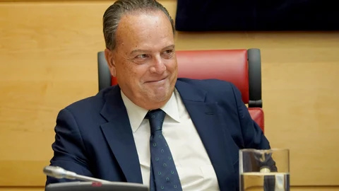 Mario Amilivia durante su comparecencia en las Cortes