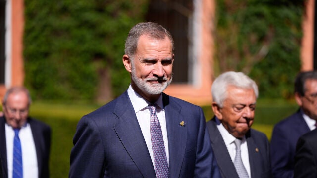 El Rey Felipe VI recibe la 'Distinción de Honor' de los Premios Iberoamericanos Torre del Oro