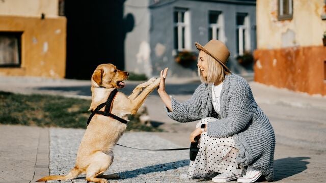 Perro con su dueña