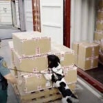 La Guardia Civil condecora al perro que detectó 800 kg de cocaína en Puerto de Barcelona