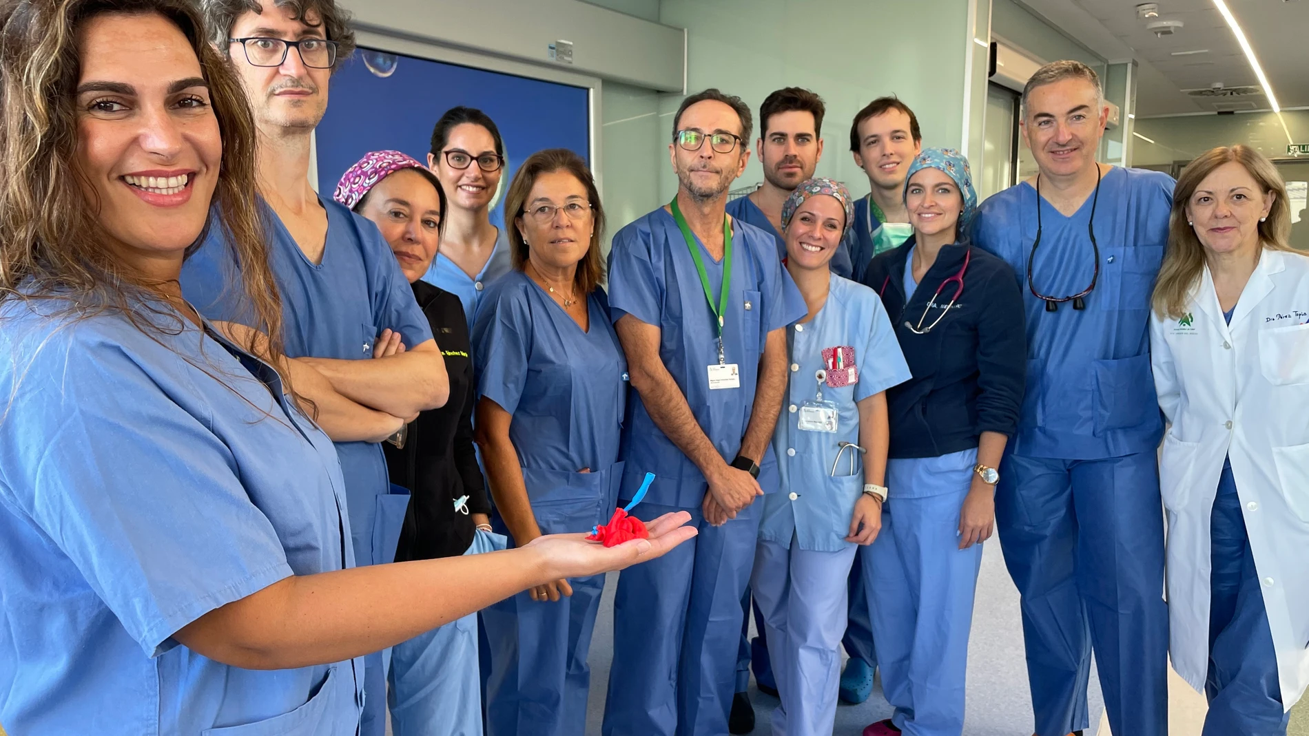 Equipo de especialistas del Hospital Universitario Virgen del Rocío de Sevilla.