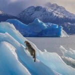 El espectacular Parque Nacional Los Glaciares es un antes y un después en los recuerdos de cualquier viajero 