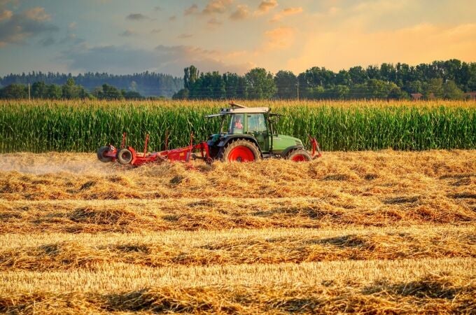 Investigadores agrícolas hacen un gran descubrimiento al observar tierras tratadas con fertilizantes orgánicos durante décadas: "Nos ayudará a avanzar"