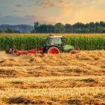 Investigadores agrícolas hacen un gran descubrimiento al observar tierras tratadas con fertilizantes orgánicos durante décadas: "Nos ayudará a avanzar"