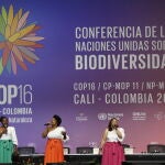 Colombia acoge la COP16 hasta el 1 de noviembre